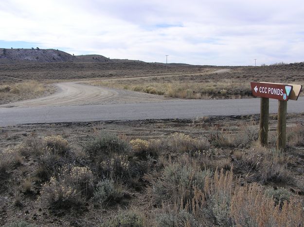 Road to CCC Ponds. Photo by Pinedale Online.