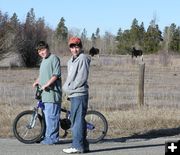 Watching the moose. Photo by Pinedale Online.