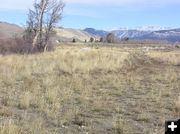 Trails by Fremont Lake. Photo by Pinedale Online.