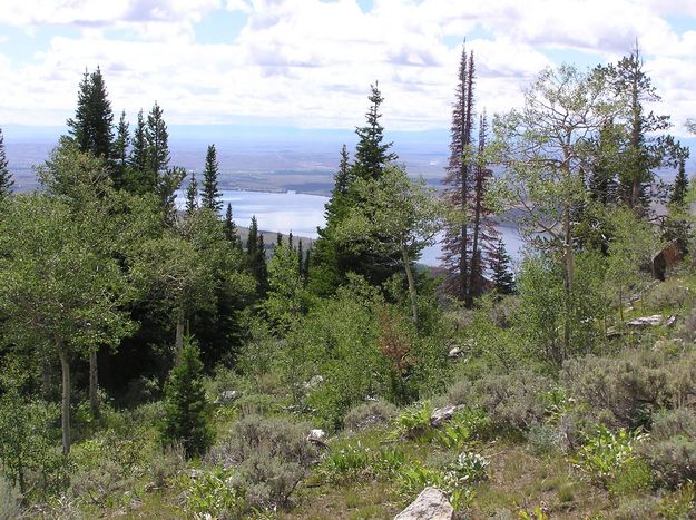 Fremont Lake from White Pine. Photo by Pinedale Online.