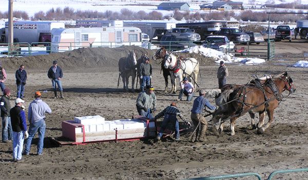 8000 Pounds Final Pull. Photo by Pinedale Online.