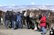 Waiting their turn. Photo by Pinedale Online.