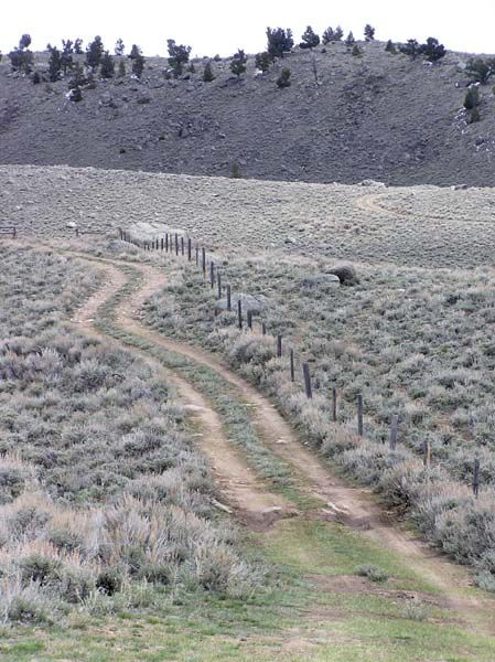 Two track. Photo by Pinedale Online.