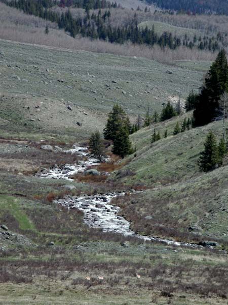 Roaring Fork. Photo by Pinedale Online.