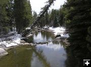 New Fork River. Photo by Pinedale Online.