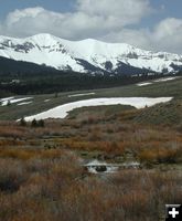 Beaver dam. Photo by Pinedale Online.