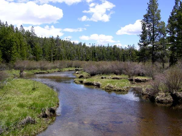 Dutch Joe Creek. Photo by Pinedale Online.