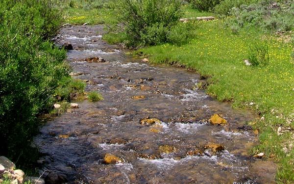 Spring Creek. Photo by Pinedale Online.