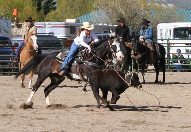 Team Roping. Photo by Pinedale Online.