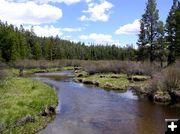 Dutch Joe Creek. Photo by Pinedale Online.