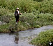 Fishing South Piney Creek. Photo by Pinedale Online.