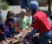 Fish Identification. Photo by Pinedale Online.