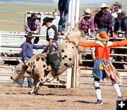 Bull Ride - Parker Greenwood. Photo by Pinedale Online.