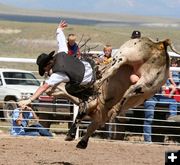 Both a-flying. Photo by Pinedale Online.