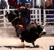 Bull Riding. Photo by Clint Gilchrist, Pinedale Online.