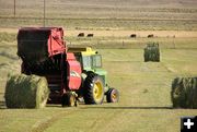 Baling. Photo by Dawn Ballou, Pinedale Online.