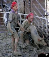 Greased Pig Contest. Photo by Pinedale Online.