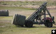 Moving bales. Photo by Dawn Ballou, Pinedale Online.