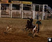 Header and Heeler. Photo by Pinedale Online.