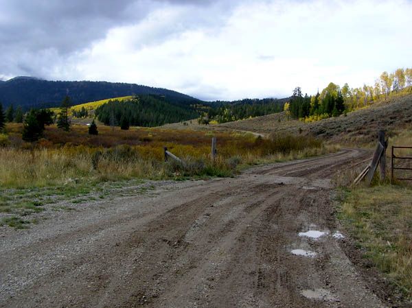 Kilgore Creek. Photo by Pinedale Online.