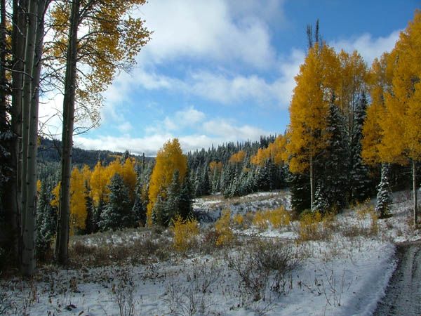 Fall Colors. Photo by Green River Outfitters.