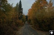 Fremont Campground Fall. Photo by Dave Bell.