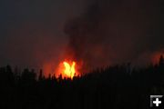 Torching trees. Photo by Clint Gilchrist, Pinedale Online.