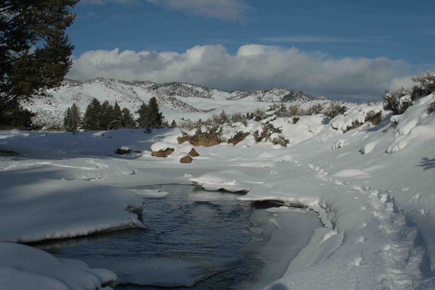 Snowshoeing along Big Sandy. Photo by Dave Bell.