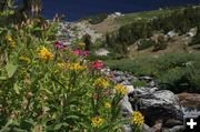 Middle Fork. Photo by Dave Bell.