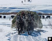 Feed Wagon. Photo by Barbara Ellwood.