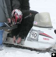 Duct Tape Seat Fix. Photo by Pinedale Online.