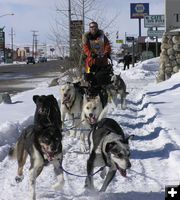 Bruce Magnusson sled team. Photo by Dawn Ballou, Pinedale Online.