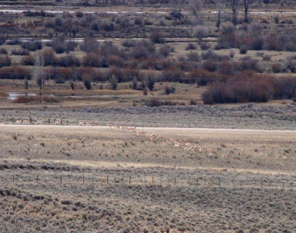 Main group cross. Photo by Clint Gilchrist, Pinedale Online.