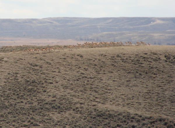 Start off to the left. Photo by Clint Gilchrist, Pinedale Online.