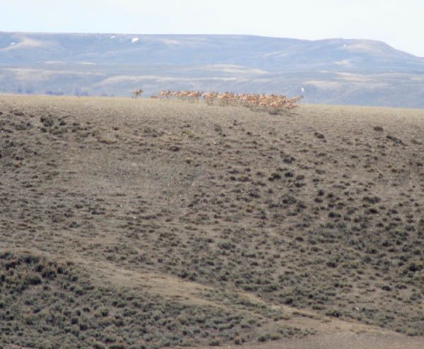 Top of the hill. Photo by Clint Gilchrist, Pinedale Online.