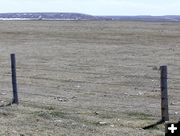 Antelope obstacle. Photo by Pinedale Online.