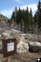 Half Moon Lake Trail. Photo by Clint Gilchrist, Pinedale Online.