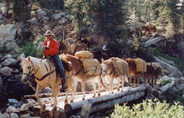 Pack String. Photo by Bridger Wilderness Outfitters.