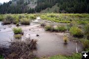 Drained Beaver Pond. Photo by Pinedale Online.