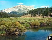 Prime moose habitat. Photo by Triple Peak Lodge.