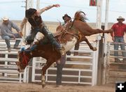 Saddle Bronc Dismount. Photo by Clint Gilchrist, Pinedale Online.