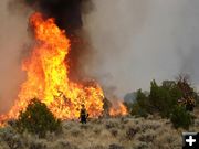 Back burn. Photo by BLM.