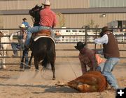 Branding. Photo by Clint Gilchrist, Pinedale Online.