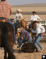 Branding. Photo by Clint Gilchrist, Pinedale Online.