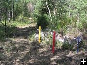 Forest target. Photo by Dawn Ballou, Pinedale Online.