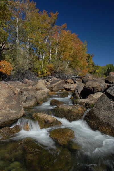 Pine Creek. Photo by Arnold Brokling.