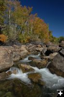 Pine Creek. Photo by Arnold Brokling.