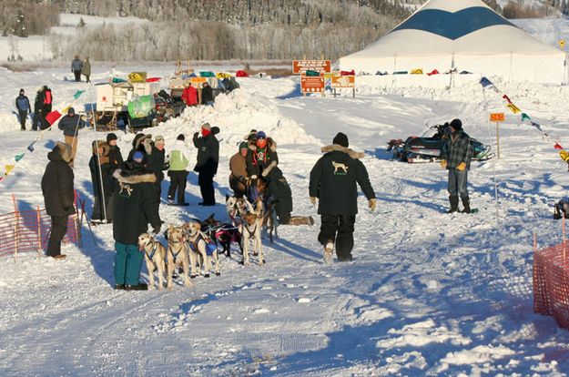 Janet Smith-12-dog start. Photo by Clint Gilchrist, Pinedale Online.