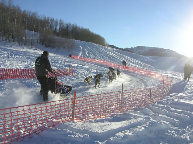 Up the 12-dog hill. Photo by Dawn Ballou, Pinedale Online.