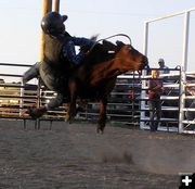 Little Buckaroo Rodeo. Photo by Dawn Ballou, Pinedale Online.